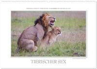 Emotionale Momente: Tierischer Sex. (Wandkalender 2026 DIN A2 quer), CALVENDO