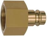RIEGLER 141574-419.55 Nippel f&uuml;r Kupplungen NW 19, Messing blank, G 1 IG, 1Stk