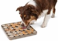 hundenapf - katzennapf - leckmatte Hund - Klaver quadratisch - Taupe - 20x20x1,5 cm -