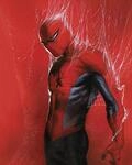 Komar Wandbild- Marvel Spider-Man Through the Spider Web - Gr&ouml;&szlig;e 40 x 50 cm -