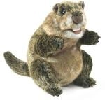 Folkmanis Handpuppe Puppet Murmeltier 3169, Graubraun