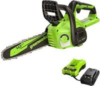 Greenworks 24V 25cm Akku Kettens&auml;ge mit 2Ah Akku und Ladeger&auml;te, Schwertl&auml;nge 25