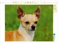 CALVENDO Puzzle EIN Motiv aus dem Kalender Chihuahua - Kleine Hunde ganz gro&szlig;...