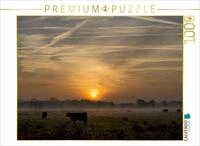 CALVENDO Puzzle Morgennebel in Schleswig-Holstein 1000 Teile Puzzle quer 