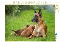 CALVENDO Puzzle EIN Motiv aus dem Kalender Traumhund Malinois | 1000 Teile
