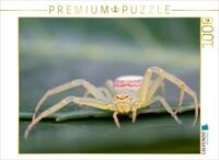 CALVENDO Puzzle Krabbenspinne 1000 Teile Puzzle quer | Lege-Gr&ouml;&szlig;e cm...