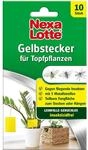 Nexa Lotte Gelbstecker, 10 St. - insektizidfreie, beidseitig beleimte Leimfallen zum