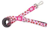 Max & Molly Klassische Hundeleine, 1,2 m, Neopren, weich gepolstert, helles