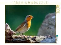 CALVENDO Puzzle Das Rotkehlchen 1000 Teile Puzzle quer | Lege-Gr&ouml;&szlig;e cm...