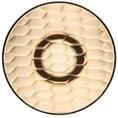 Kartell Jellies Coat Hangers, F&uuml;r die Kleiderhaken, Gro&szlig;, Bernstein, 2 St&uuml;ck