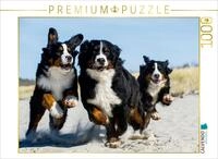 CALVENDO Puzzle EIN Motiv aus dem Kalender Treuer Freund Berner Sennenhund 1000 Teile