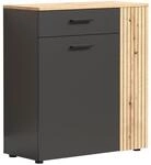 trendteam smart living Esteban Kommode Anthrazit-Eiche Schuhschrank mit Platz...