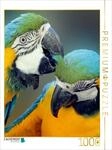 CALVENDO Puzzle Liebe 1000 Teile Puzzle hoch | Lege-Gr&ouml;&szlig;e cm Foto-Puzzle f&uuml;r