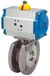 RIEGLER 103644-350.1065 Kompaktflansch-Kuha, pneu. Stellantr, doppeltwirkend,...