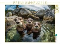 CALVENDO Puzzle Bitte l&auml;cheln | 1000 Teile Lege-Gr&ouml;&szlig;e 64 x 48 cm Foto-Puzzle...