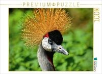 CALVENDO Puzzle Kronenkranich 1000 Teile Puzzle quer | Lege-Gr&ouml;&szlig;e cm...