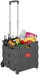 Relaxdays Einkaufstrolley, zusammenklappbar, Einkaufskorb mit Rollen, Teleskopgriff,