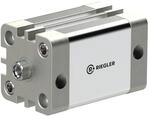 RIEGLER 155393-15.DMI.32060 Kompaktzylinder, doppeltwirkend, IG, K-&Oslash;32, Hub60,...