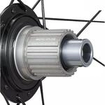Shimano Gravel Urban Trekking Freilaufk&ouml;rper, Silver/Black, One Size
