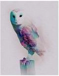 Komar Wandbild | Animals ForestOwl | Poster, Bild, Wohnzimmer, Schlafzimmer,