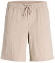JACK & JONES Jpstjaiden Tyson Jogger Short Sn