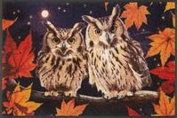 Wash+Dry Fu&szlig;matte, Night Owls 50x75cm, innen und au&szlig;en, waschbar, bunt