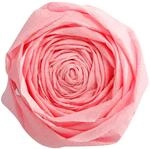 Clairefontaine 903033C Packung mit 10 B&ouml;gen Krepppapier, 2,5 x 0,5m, ideal f&uuml;r