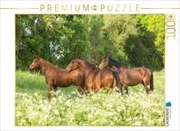 CALVENDO Puzzle EIN Motiv aus dem Kalender Pferde im Gr&uuml;nen | 1000 Teile