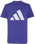 adidas Unisex Kinder Essentials Big Logo Set Track_Suit, Pure Purple/white, 9-10