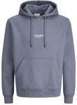 JACK & JONES Jjesoho Sweat Hood Noos