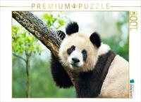 CALVENDO Puzzle EIN Motiv aus dem Kalender Der Gro&szlig;e Panda EIN kuscheliger...
