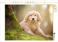 CALVENDO Puzzle Hovawart Welpe | 1000 Teile Lege-Gr&ouml;&szlig;e 64 x 48 cm Foto-Puzzle...