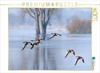 CALVENDO Puzzle G&auml;nseflug 1000 Teile Puzzle quer | Lege-Gr&ouml;&szlig;e cm Foto-Puzzle...