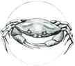 Komar Wandbild | Crab White | Poster, Bild, Wohnzimmer, Schlafzimmer,...