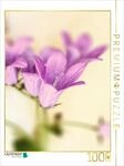 CALVENDO Puzzle Campanula bl&uuml;ten | 1000 Teile Lege-Gr&ouml;&szlig;e 48 x 64 cm...
