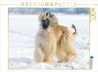 CALVENDO Puzzle Afghanischer Windhund - Anmutige Sch&ouml;nheit | 1000 Teile...