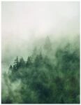 Komar Wandbild | Tales of The Carpathians | Poster, Bild, Wohnzimmer,...