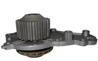 Saleri SIL Wasserpumpen PA1136AL