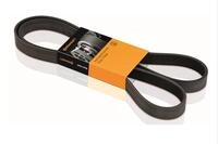 CONTITECH 6752028736 Keilriemen geriffelt,