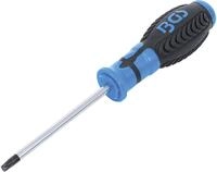 BGS 4922 | Schraubendreher | T-Profil (f&uuml;r Torx) T30 | Klingenl&auml;nge 100 mm