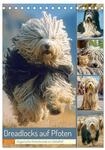 Dreadlocks auf Pfoten. Ungarische Hirtenhunde im Zottelfell (Tischkalender 2027...