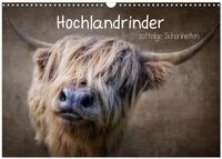 Kalender 2027 &middot; Hochlandrinder - Zottelige Sch&ouml;nheiten | Die Models unter den