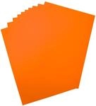 folia 65915 - Plakatkarton, ca. 48 x 68 cm, 10 B&ouml;gen, 380 g/qm, einseitig