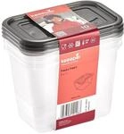 keeeper fredo fresh Frischhaltedosenset 3-teilig, 3 x 1 l, Crystal Grey (Transparent)