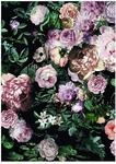 Komar Wandbild | Charming Wild | Poster, Bild, Wohnzimmer, Schlafzimmer,...