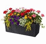 Relaxdays Balkonkasten, Selbstbew&auml;sserung, HBT: 19x50x19 cm, schwarz 