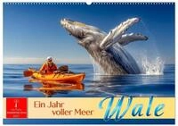 Kalender 2027 &middot; Wale - ein Jahr voller Meer | Faszinierende Giganten der...