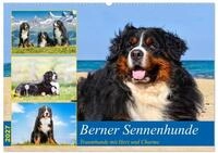 Kalender 2027 &middot; Berner Sennenhunde - Traumhunde mit Charme | Ein Einblick in...