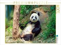 CALVENDO Puzzle Niedlicher Panda | 1000 Teile Lege-Gr&ouml;&szlig;e 64 x 48 cm...