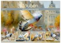 Tauben. Urbane Lebensk&uuml;nstler (Wandkalender 2027 DIN A2 quer), CALVENDO